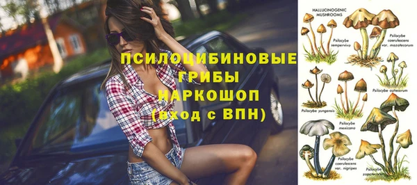 крисы Ладушкин