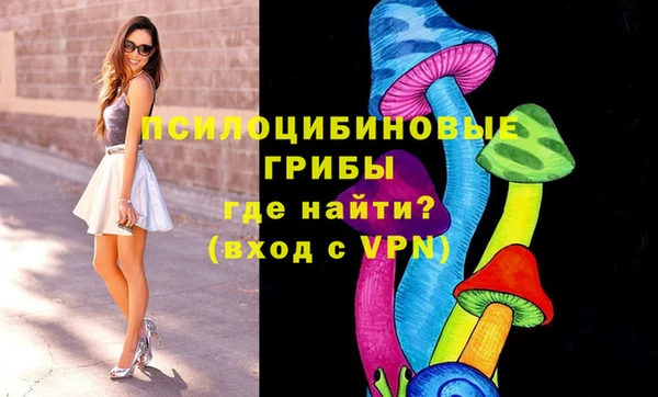 индика Липки